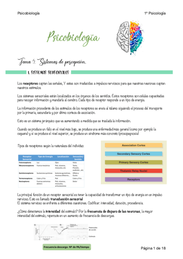 Miniatura del documento Apuntes-PBI-U5.pdf