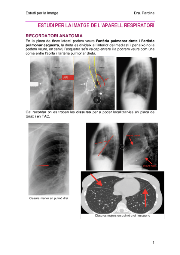 Miniatura del documento 3-AparellRespiratori.pdf