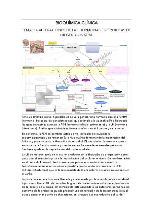 Miniatura del documento BIOQUIMICA-CLINICA-TEMA-14.pdf