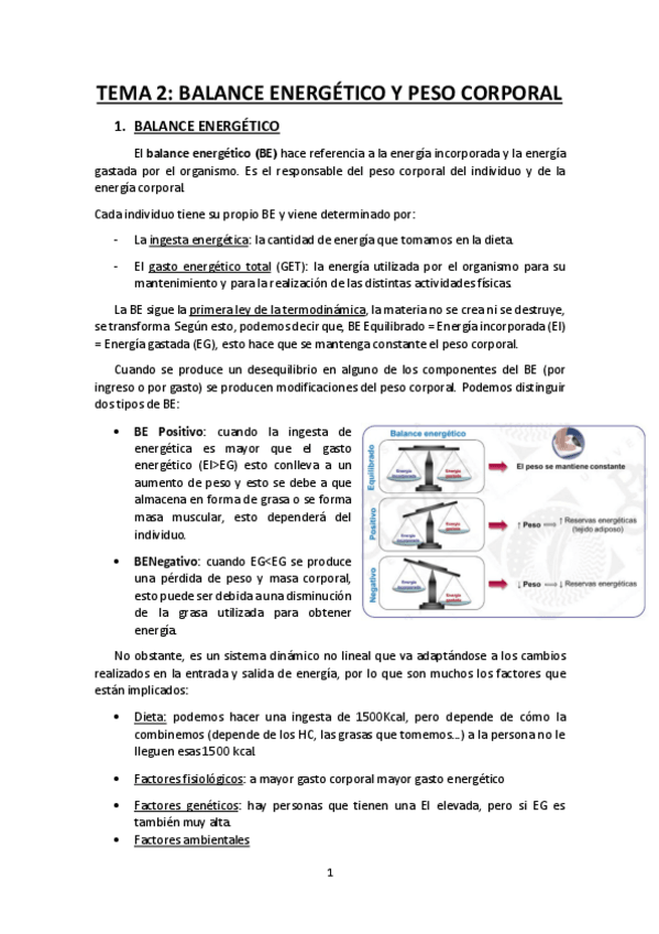 Miniatura del documento Tema-2-balance-energetico.pdf
