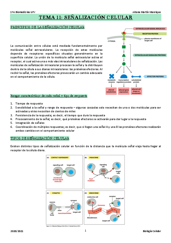 Miniatura del documento TEMA-11.pdf