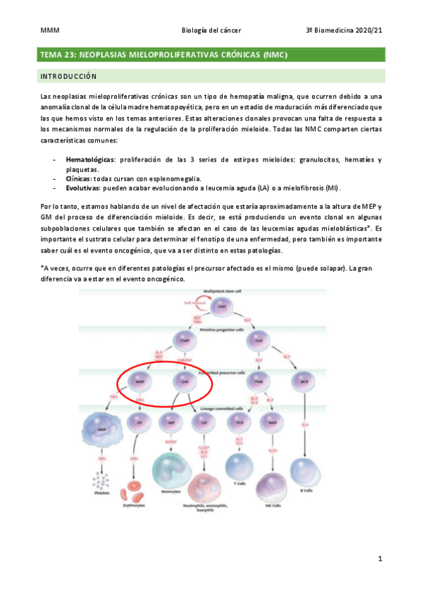 Miniatura del documento TEMA-23-Neoplasias-mieloproliferativas-cronicas-NMC.pdf