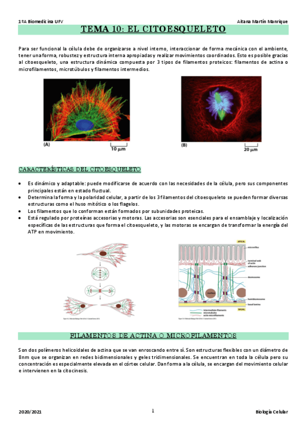 Miniatura del documento TEMA-10.pdf