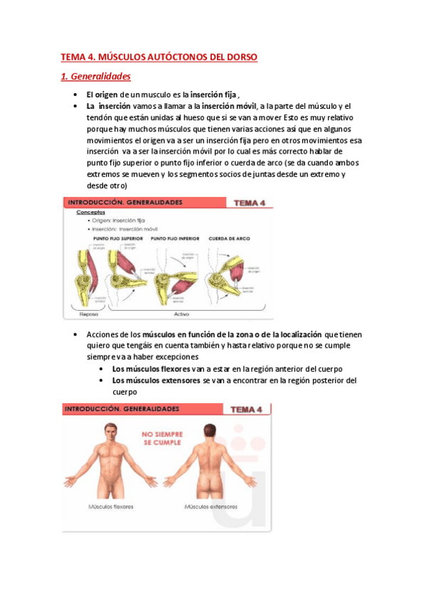 Miniatura del documento ANATOMIA-TEMA-4.pdf