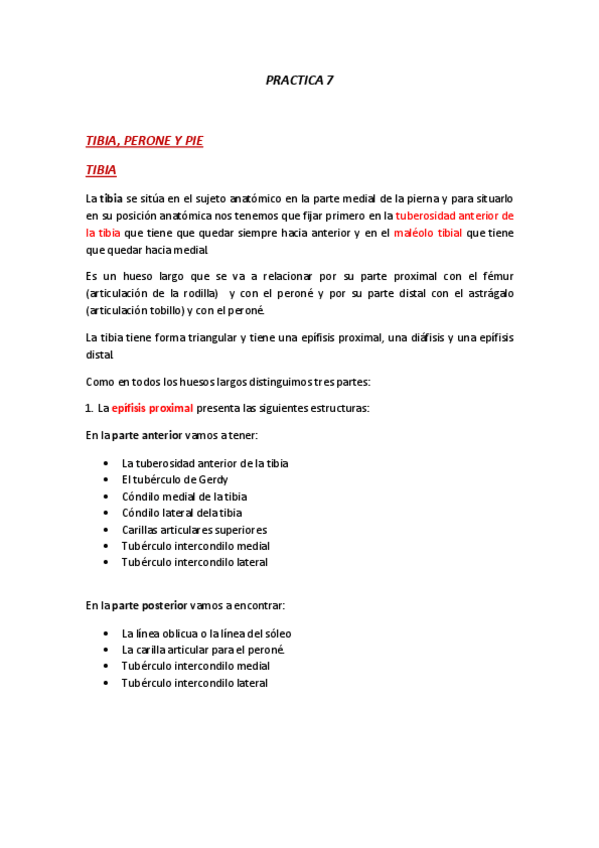 Miniatura del documento ANATOMIA-PRACTICA-7.pdf