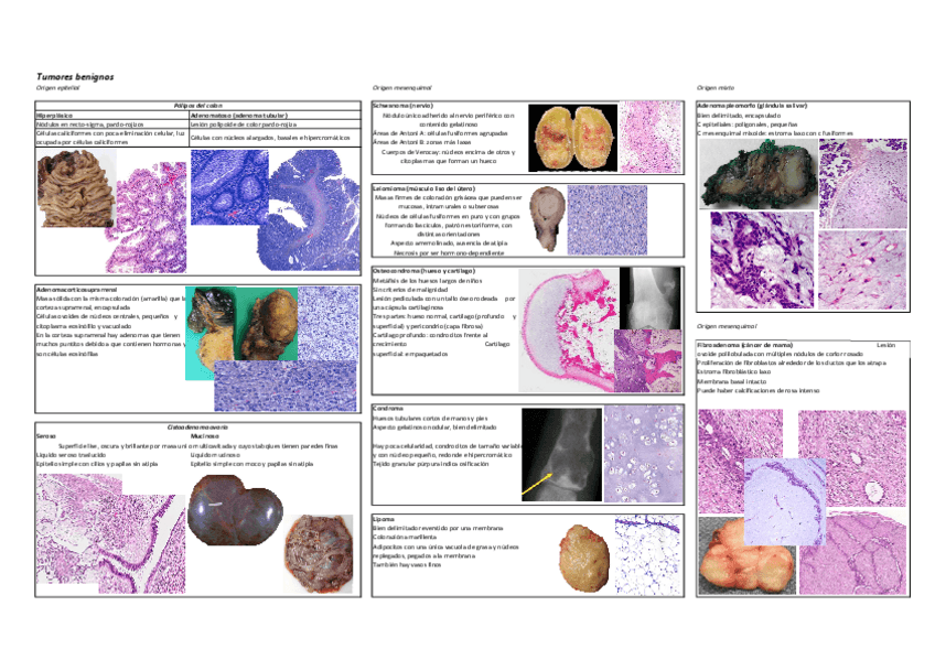 Miniatura del documento PRACTICA-6.pdf