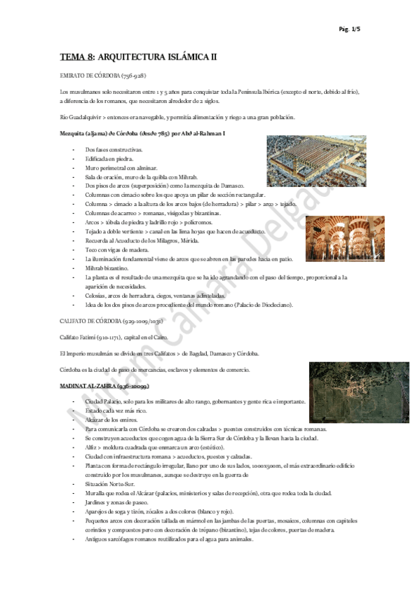 Miniatura del documento TEMA-8.pdf