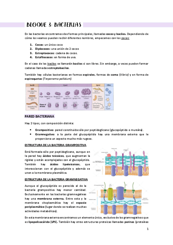 Miniatura del documento Micro-II-net.pdf