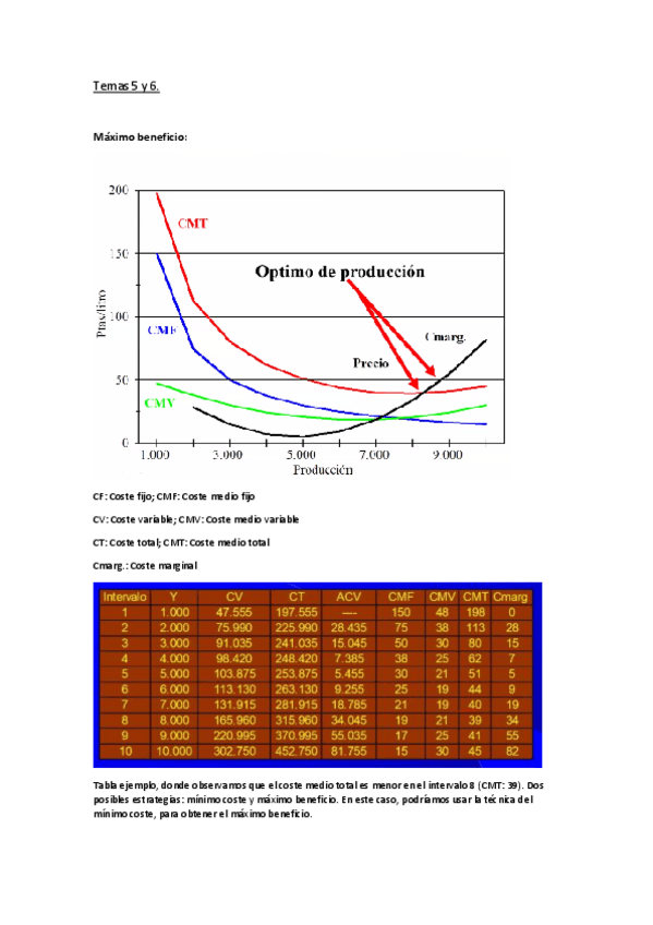 Miniatura del documento Temas-5-y-6.pdf