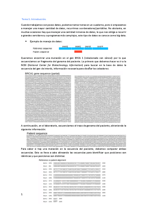 Miniatura del documento Teoria-completa.pdf
