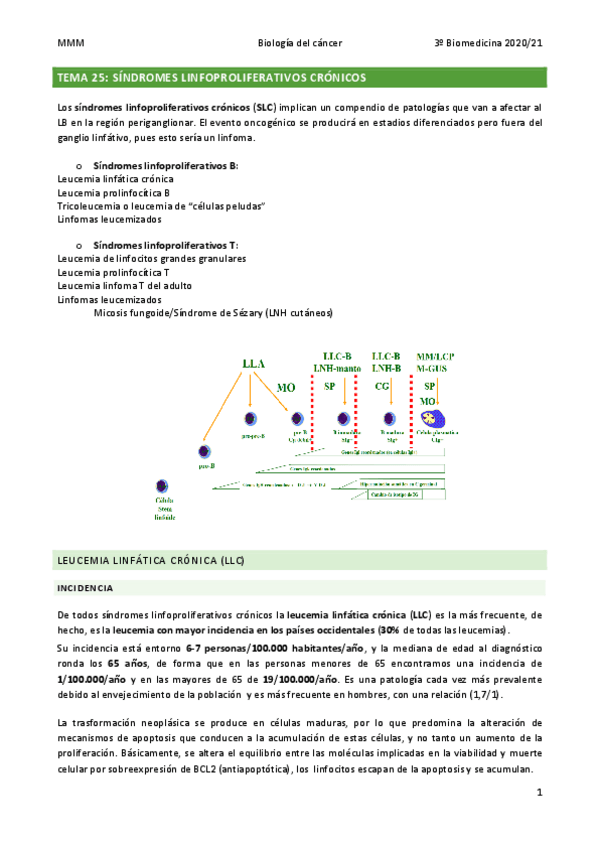 Miniatura del documento TEMA-25-Sindromes-linfoproliferativos-SLP.pdf
