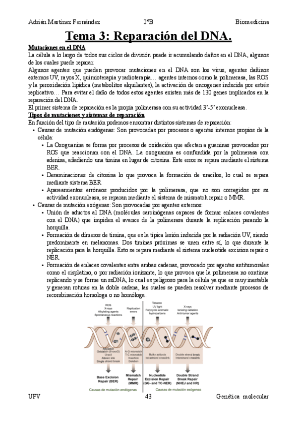Miniatura del documento Tema-3.pdf