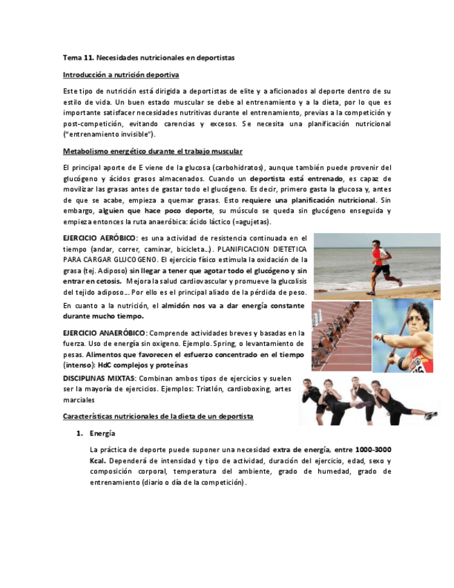 Miniatura del documento Resumen-tema-11.pdf