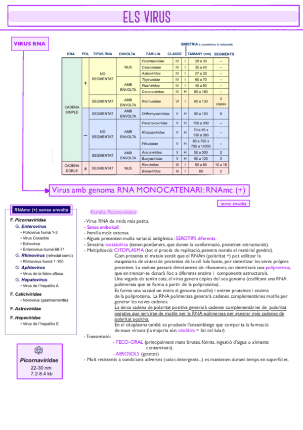 Miniatura del documento Apunts virus farfan