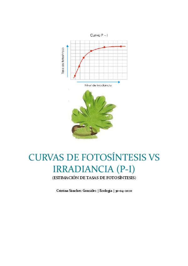 Miniatura del documento Informe-Curvas-P-I.pdf