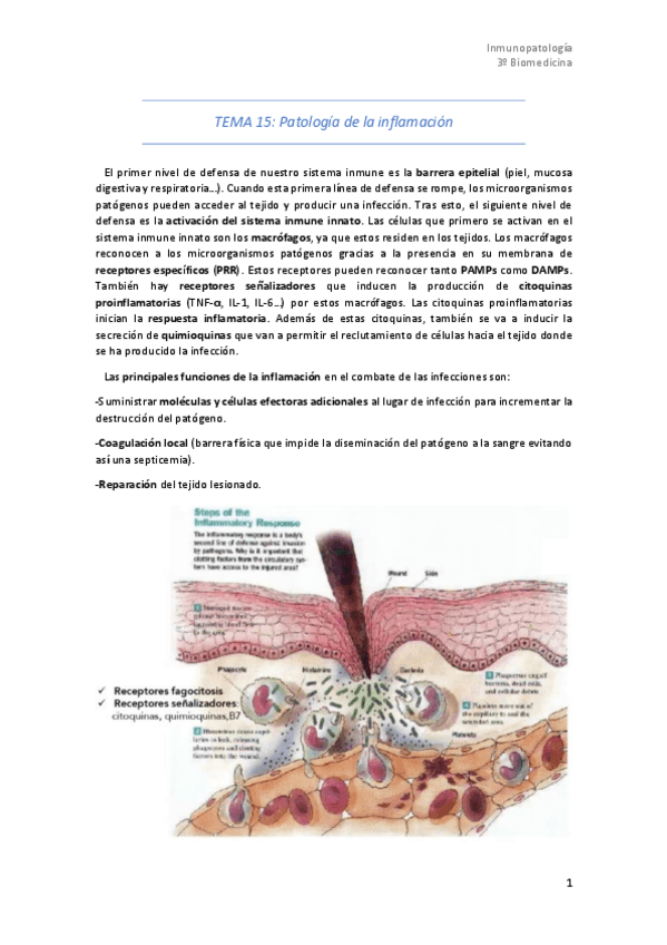 Miniatura del documento Tema-15.pdf