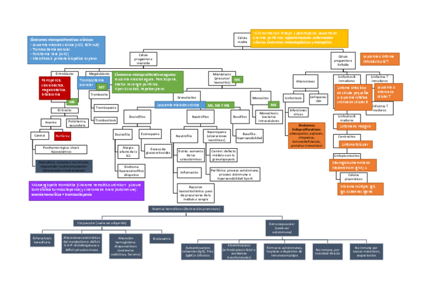 Miniatura del documento Sangre.pdf
