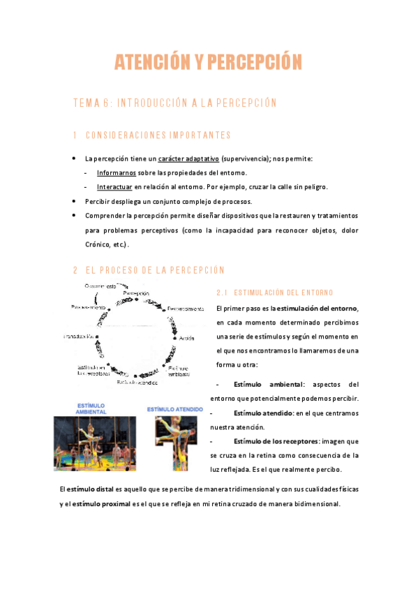 Miniatura del documento AYPTema6INTRODUCCION-A-LA-PERCEPCION.pdf