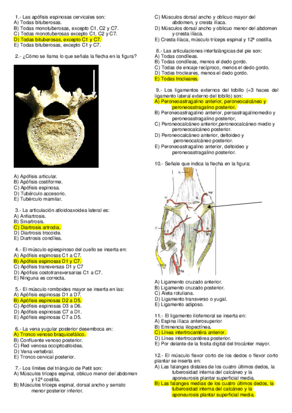 Miniatura del documento ex1.pdf