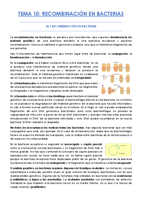 Miniatura del documento TEMA-10.pdf