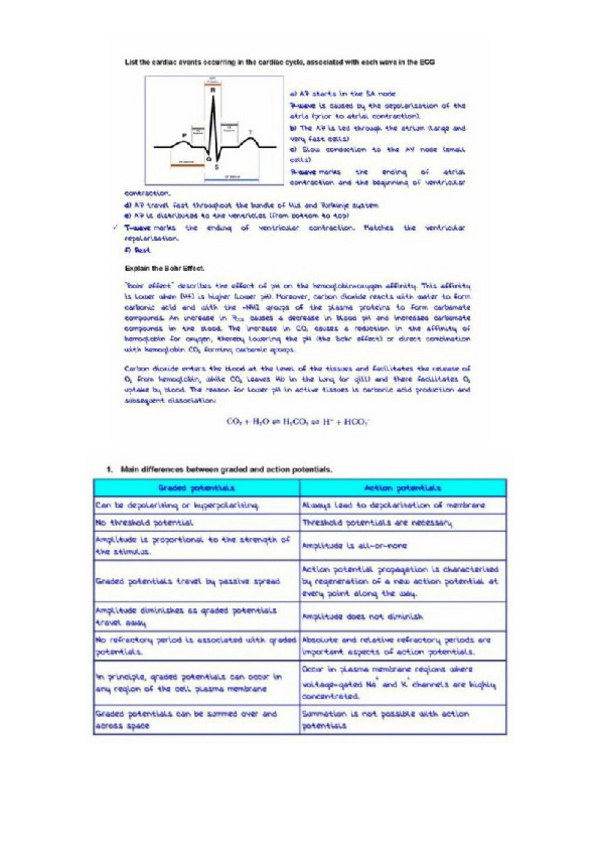 Miniatura del documento Teoria.docx