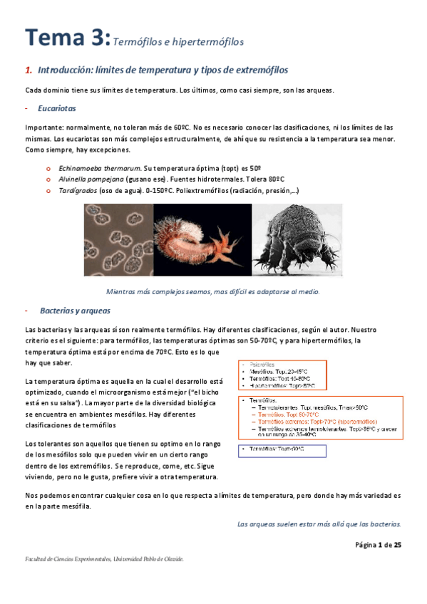 Miniatura del documento UD-3.pdf