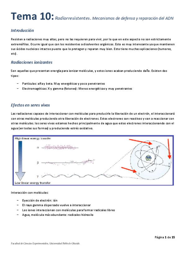 Miniatura del documento UD-10.pdf