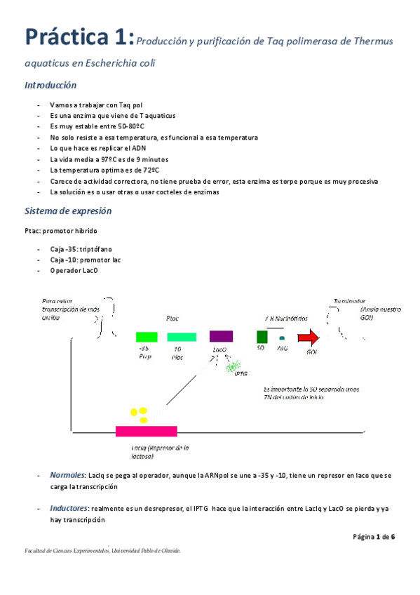 Miniatura del documento Practica-1.pdf