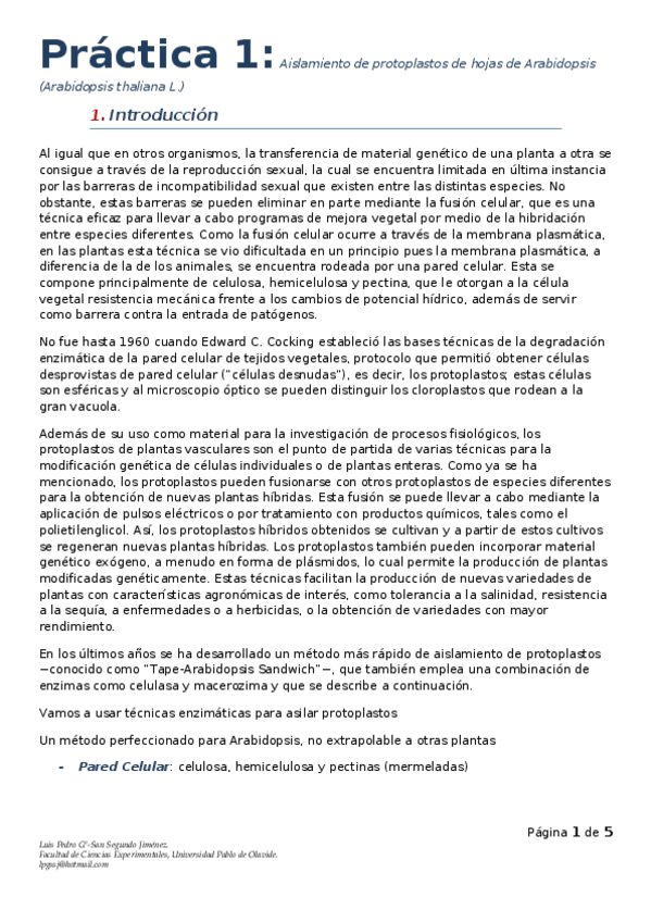 Miniatura del documento Practica-1.docx