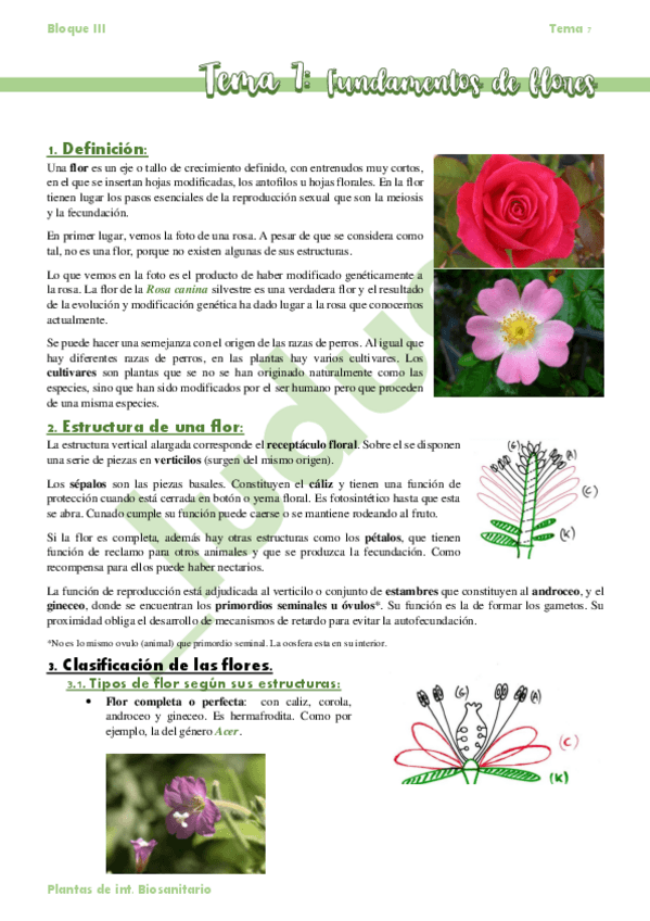 Miniatura del documento Tema-7-Fundamentos-de-flores.pdf