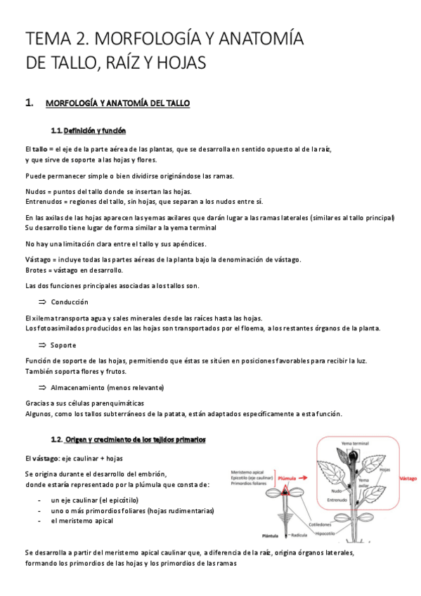 Miniatura del documento TEMA-2.pdf