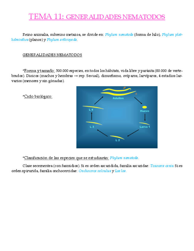 Miniatura del documento TEMA 11 PDF.pdf