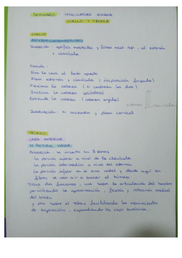 Miniatura del documento SEMINARIO-2020.pdf