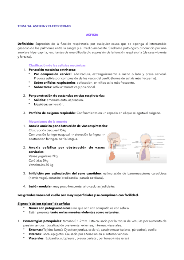 Miniatura del documento T14-LEG.pdf