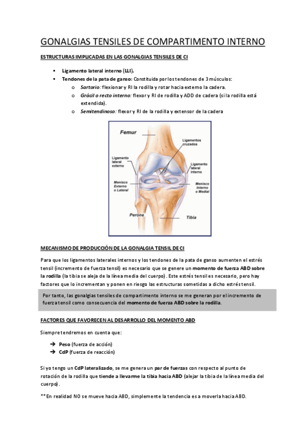 Miniatura del documento GONALGIAS-TENSILES-DE-COMPARTIMENTO-INTERNO.pdf