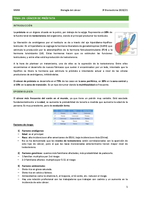 Miniatura del documento TEMA-29-Cancer-de-prostata.pdf