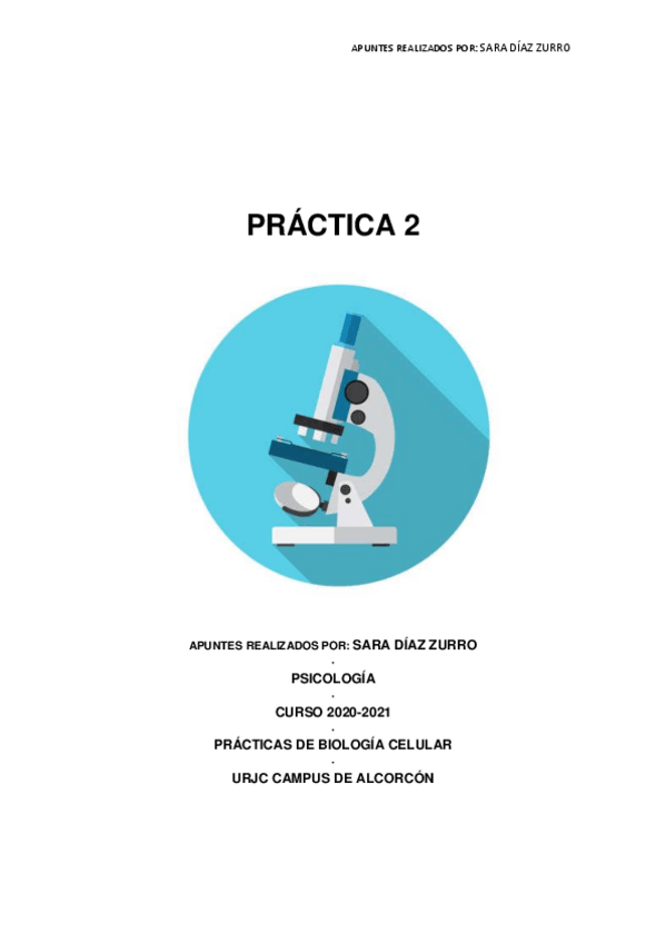 Miniatura del documento PRACTICA-2.pdf