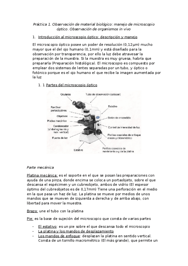 Miniatura del documento Practica-1.docx