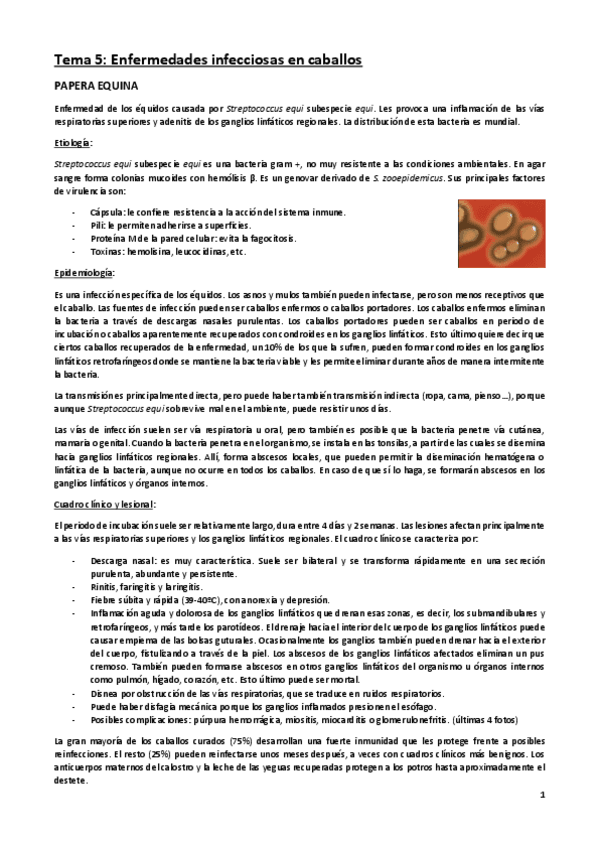 Miniatura del documento ENFERMEDADES-INFECCIOSAS-I-parte-2-caballos.pdf