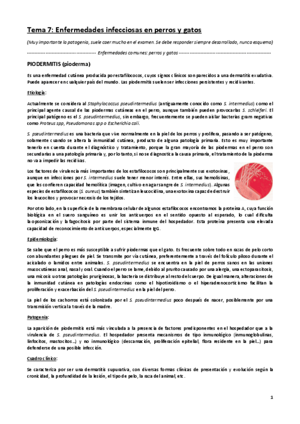 Miniatura del documento ENFERMEDADES-INFECCIOSAS-I-parte-3-perros-y-gatos.pdf