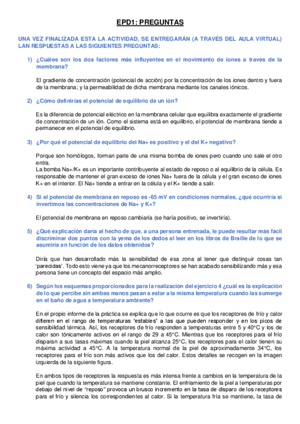 Miniatura del documento EPD1-INFORME.pdf