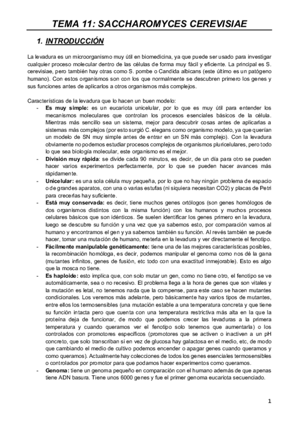 Miniatura del documento MODELOS-T11.pdf