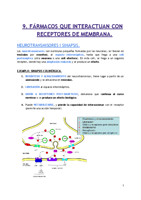 Miniatura del documento 9.1.pdf
