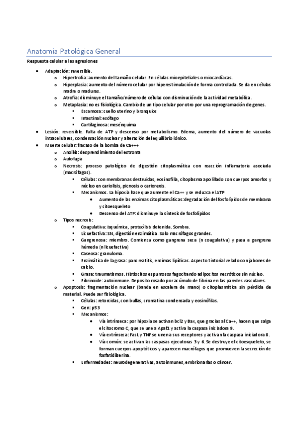 Miniatura del documento Patologia-General.pdf