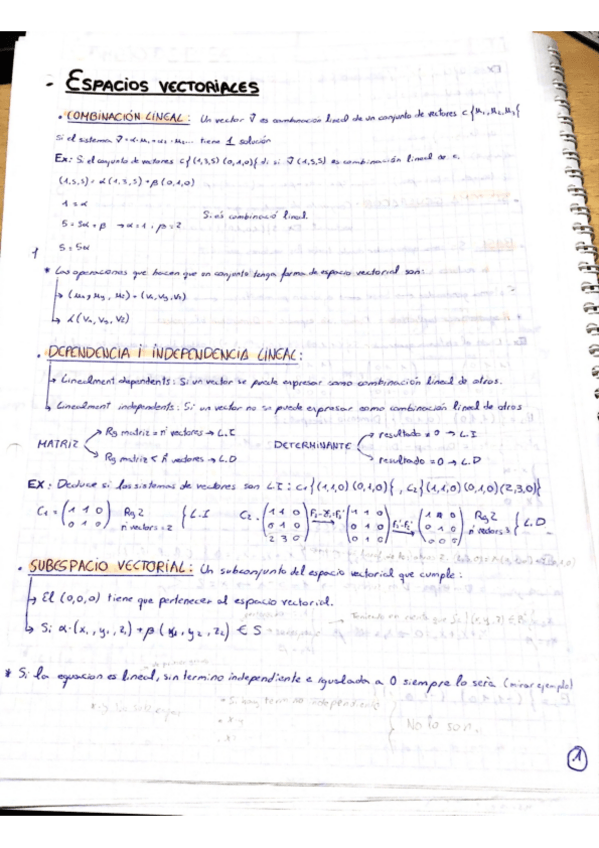 Miniatura del documento fonaments-contingut-1.pdf