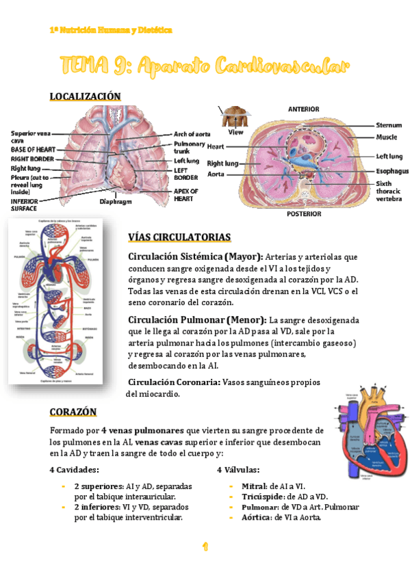 Miniatura del documento TEMA-9.pdf