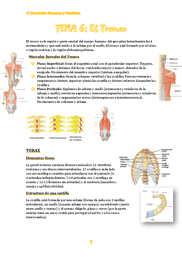 Miniatura del documento TEMA-6.pdf
