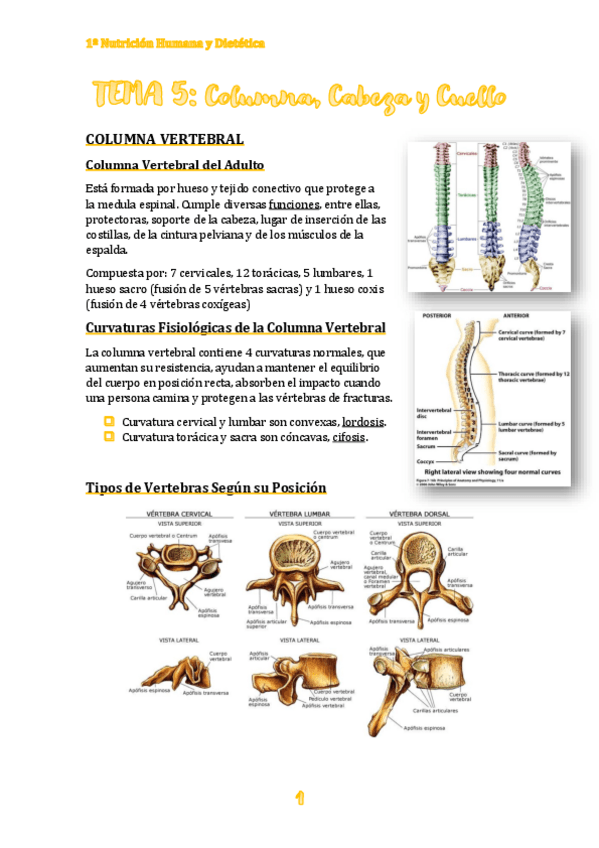 Miniatura del documento TEMA-5.pdf