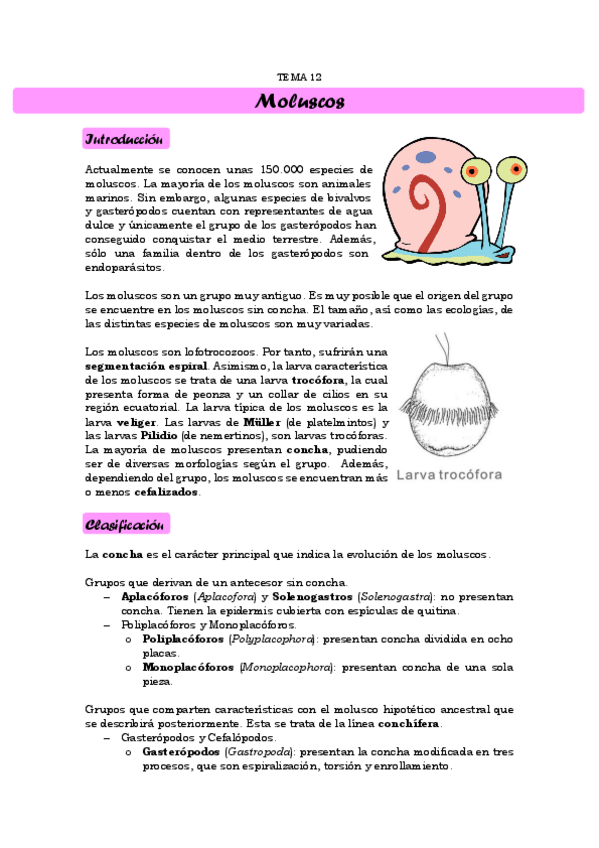 Miniatura del documento TEMA 12. Moluscos
