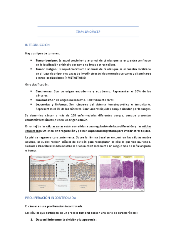 Miniatura del documento TEMA-15-CANCER.pdf